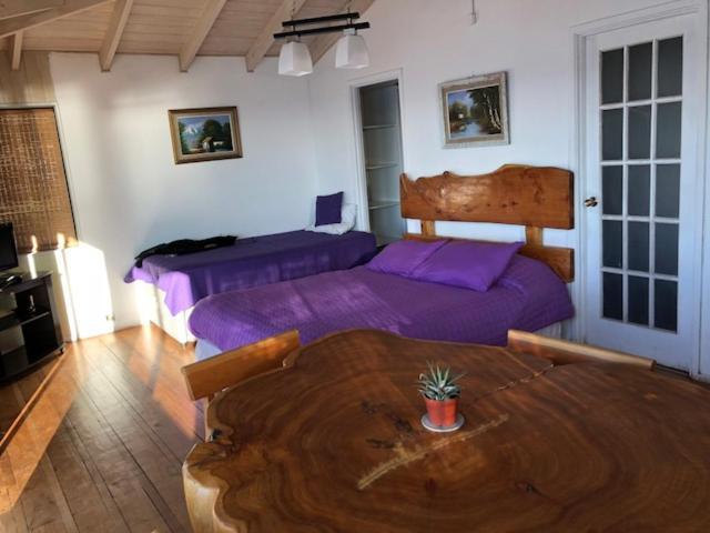 Pinguino En La Roca - Lodge Винья-дель-Мар Экстерьер фото