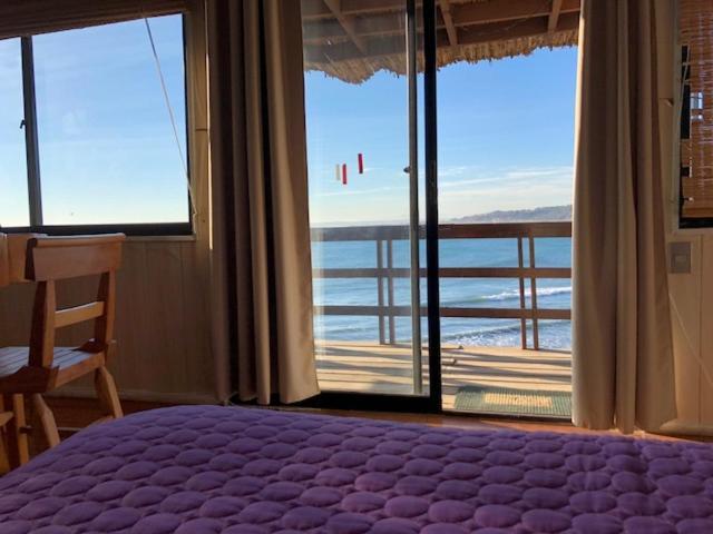 Pinguino En La Roca - Lodge Винья-дель-Мар Экстерьер фото