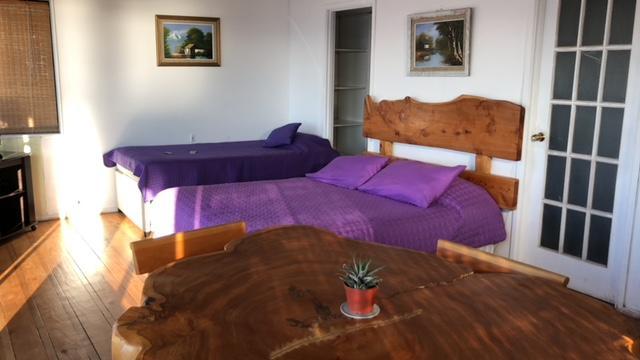 Pinguino En La Roca - Lodge Винья-дель-Мар Экстерьер фото