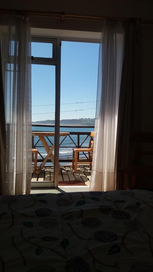 Pinguino En La Roca - Lodge Винья-дель-Мар Экстерьер фото